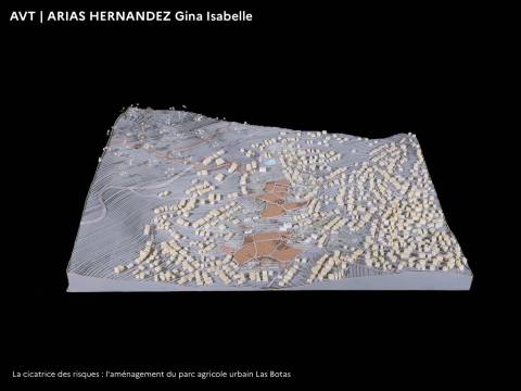Illustration - PFE 2022 - Domaine Architecture Ville territoires en Transitions 5