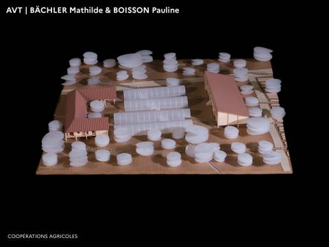 Illustration - PFE 2022 - Domaine Architecture Ville territoires en Transitions 6