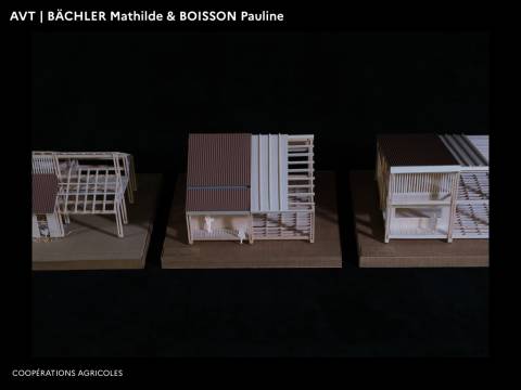 Illustration - PFE 2022 - Domaine Architecture Ville territoires en Transitions 7