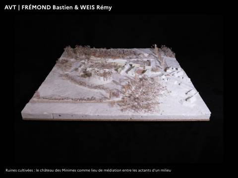 Illustration - PFE 2022 - Domaine Architecture Ville territoires en Transitions 86