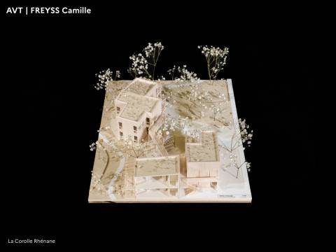 Illustration - PFE 2022 - Domaine Architecture Ville territoires en Transitions 38