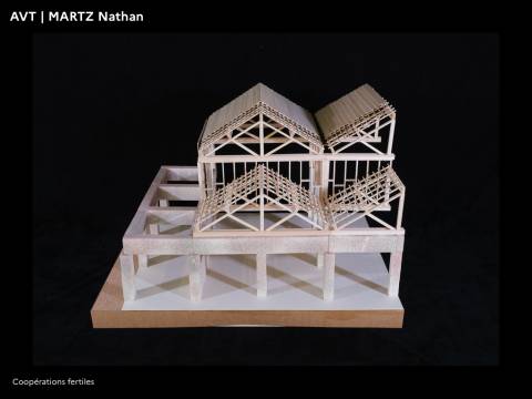 Illustration - PFE 2022 - Domaine Architecture Ville territoires en Transitions 50