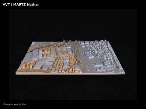 Illustration - PFE 2022 - Domaine Architecture Ville territoires en Transitions 51
