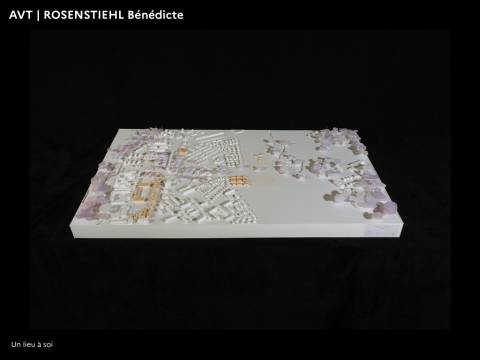 Illustration - PFE 2022 - Domaine Architecture Ville territoires en Transitions 66