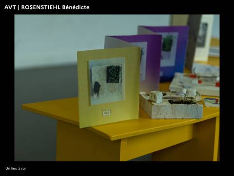 Illustration - PFE 2022 - Domaine Architecture Ville territoires en Transitions 67